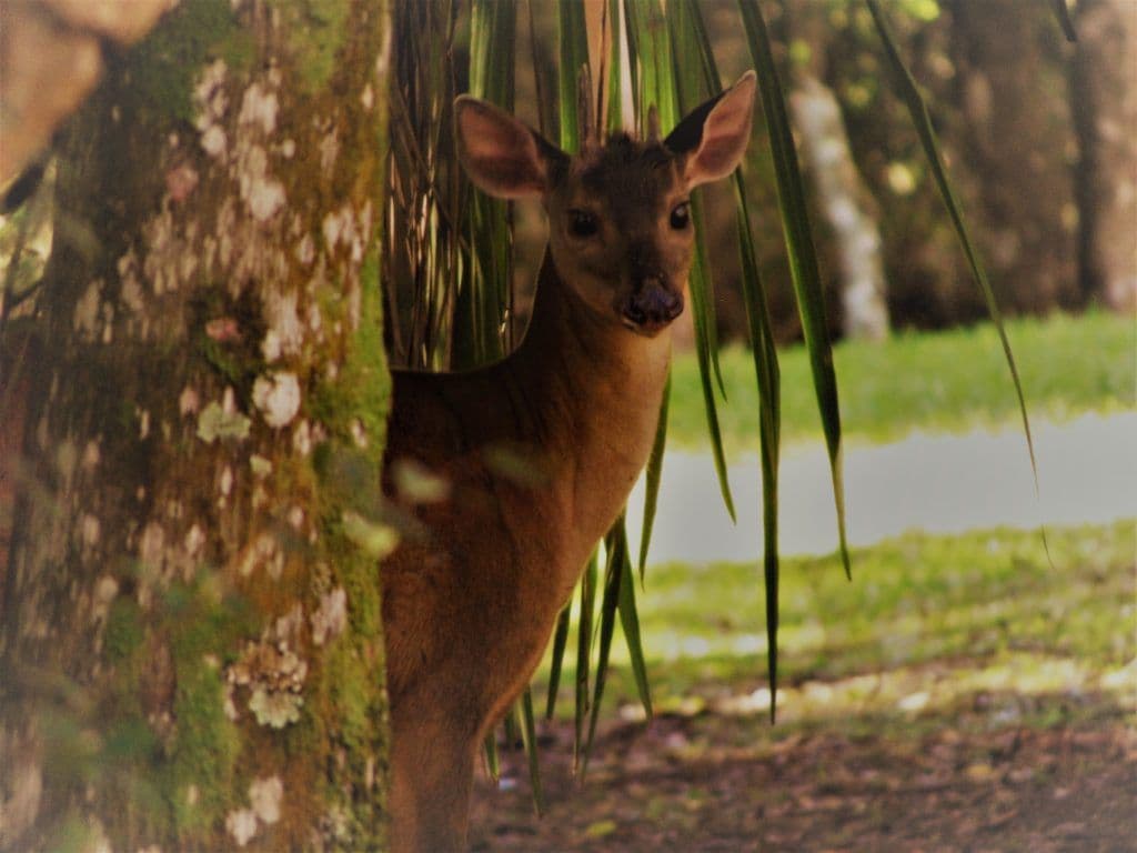 Foto: Clara Aurora Gonzalez