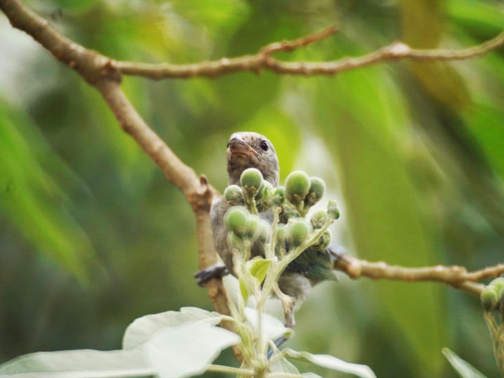 Foto: Clara Aurora Gonzalez