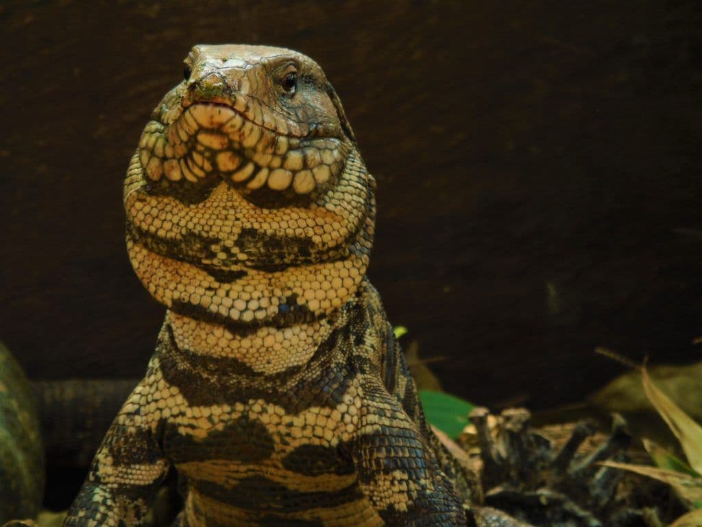 Foto: Clara Aurora Gonzalez