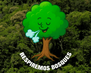 Misiones continúa marcando el rumbo en políticas de conservación