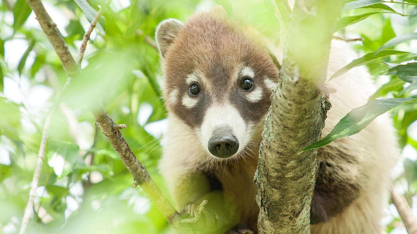 TALLERES PARTICIPATIVOS