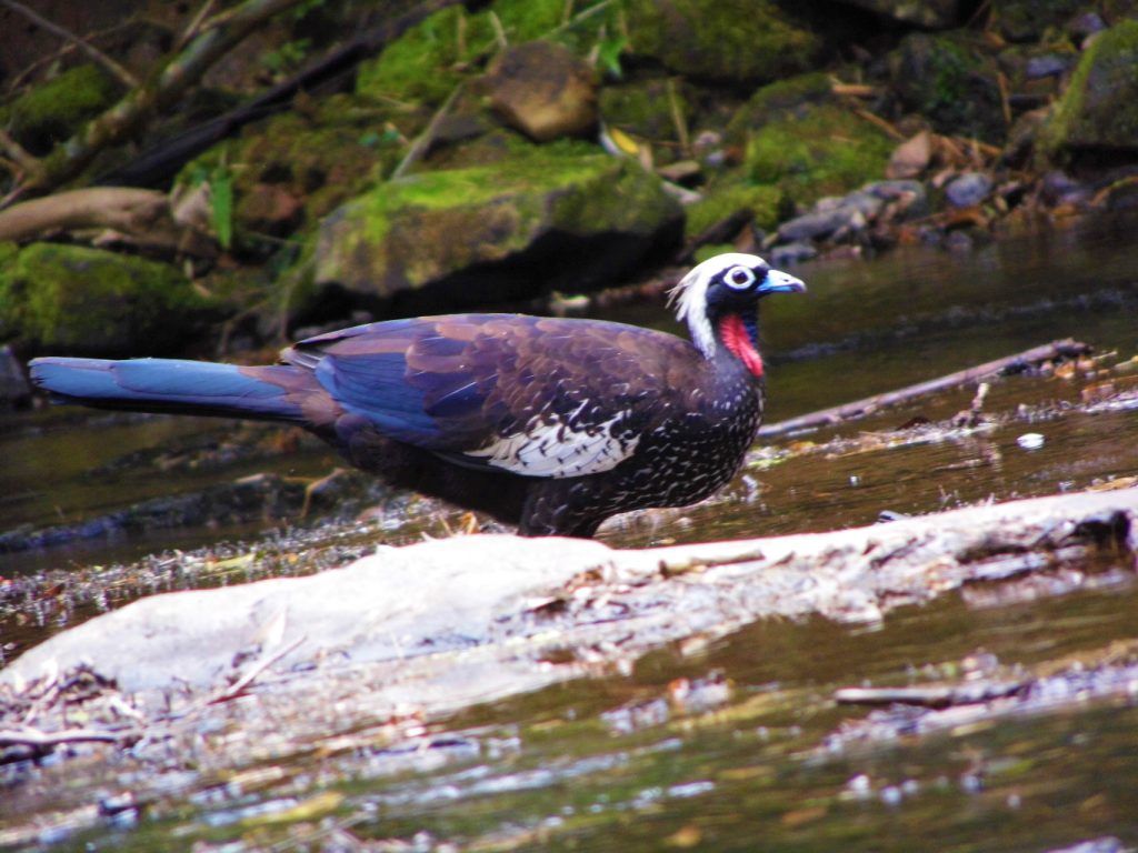 Foto: Clara Aurora Gonzalez