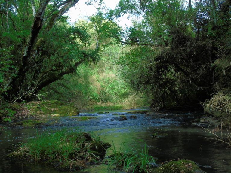 Foto: Clara Aurora Gonzalez