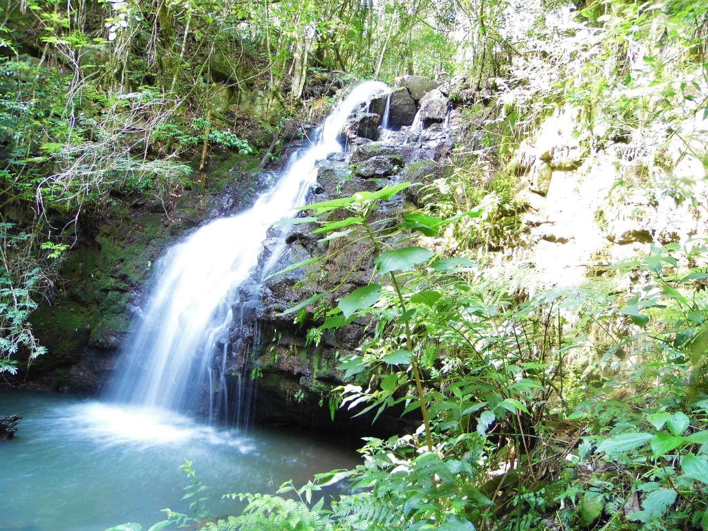 Foto: Clara Aurora Gonzalez