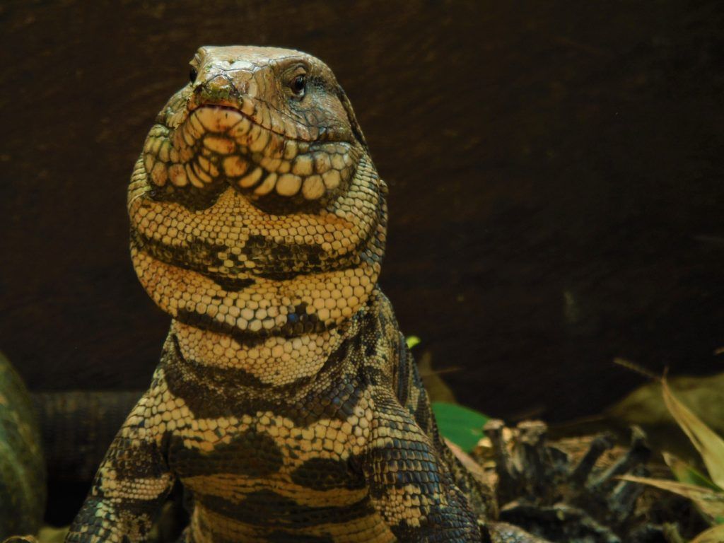 Foto: Clara Aurora Gonzalez