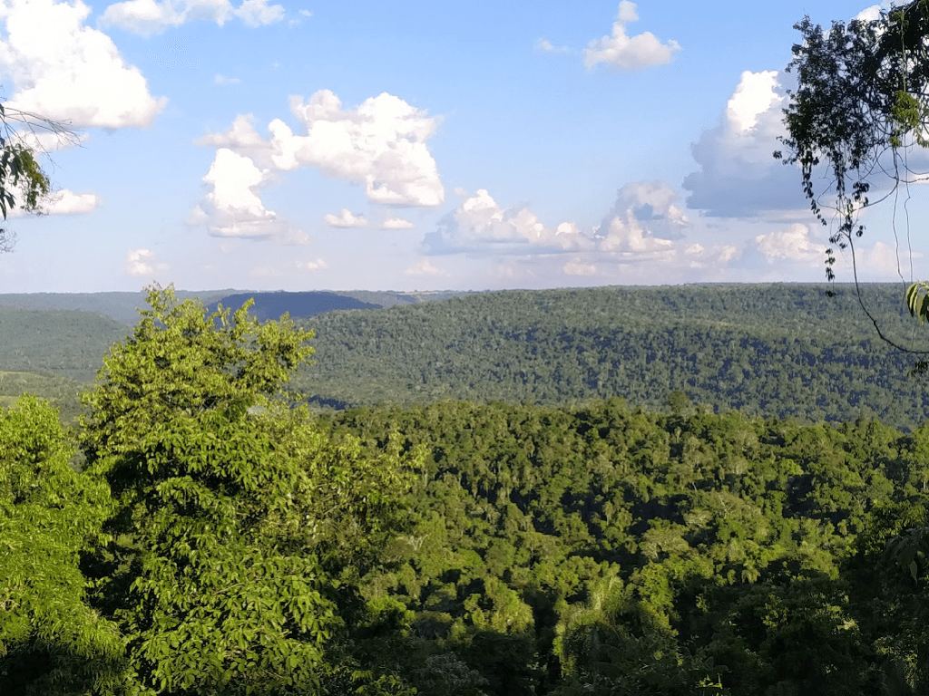 Foto: Min. Ecología y RNR