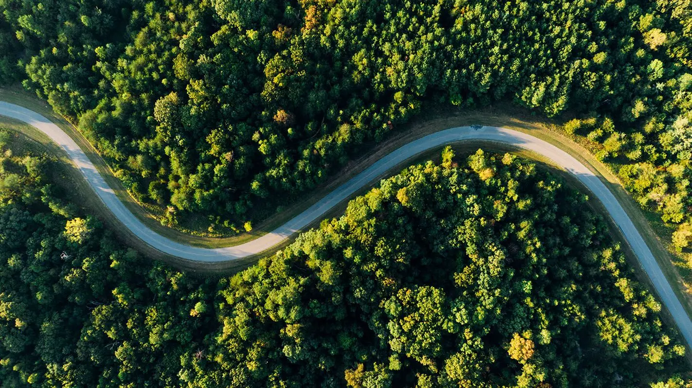Programa de Beneficios por Servicios Ambientales de la Provincia de Misiones - ECO2