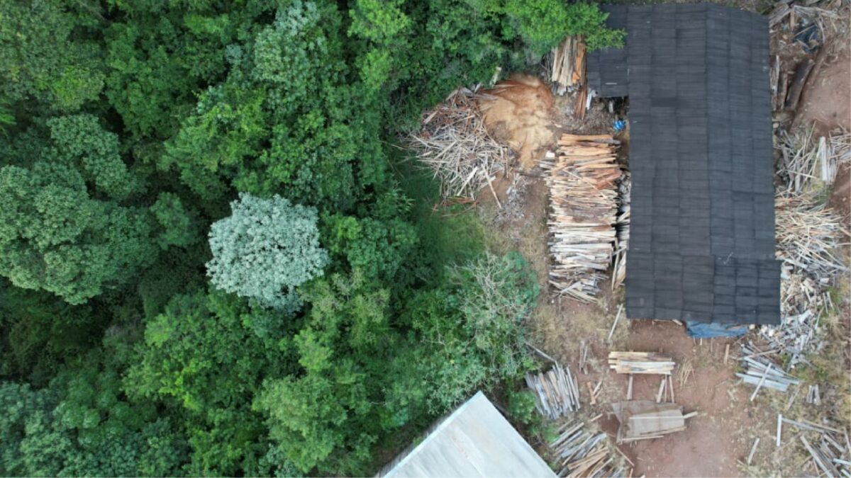 Fortalecimiento del Control Forestal