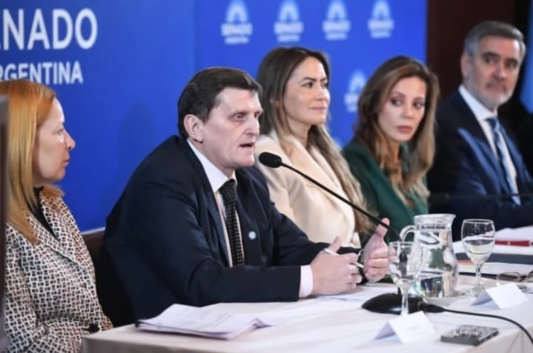 Hacia un marco federal para los mercados de carbono en Argentina y la integración al financiamiento global