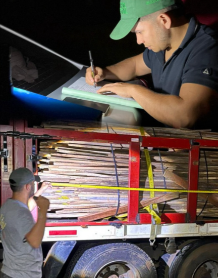 Secuestro de madera nativa sin la documentación correspondiente