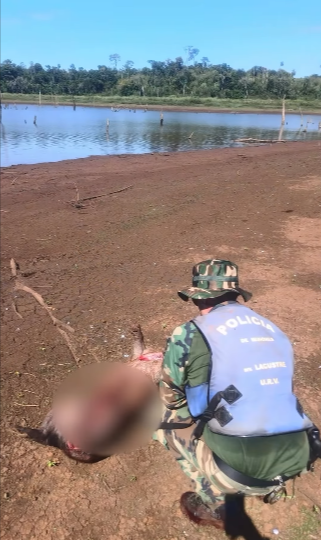 ¡Misiones protege lo que es de todos!