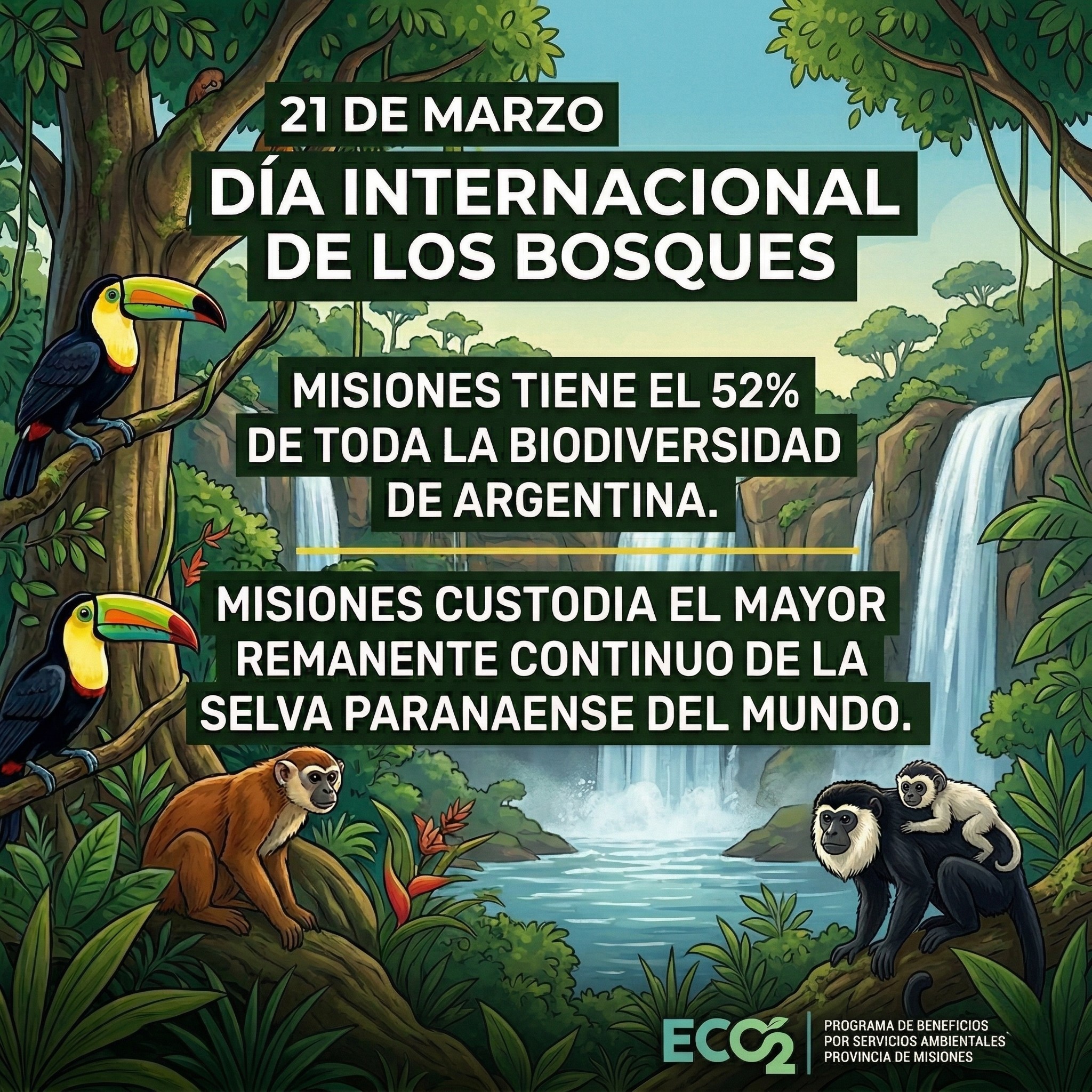 Reafirmando nuestro compromiso con la Selva Paranaense