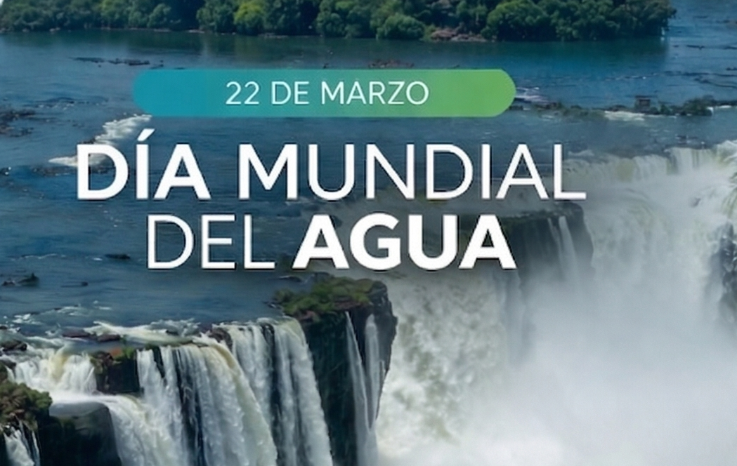 Misiones es pura vida natural