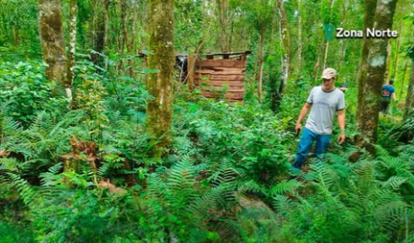 Política ambiental provincial