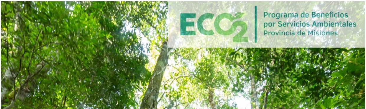 Transparencia comunicativa del Programa