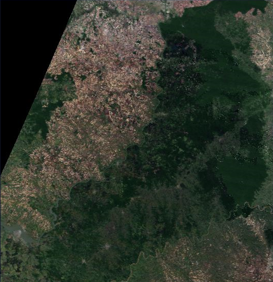 Echoes of a historic landmark for the province and our Selva Paranaense