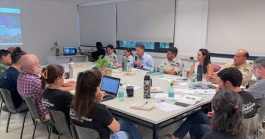 Subcomisión Selva Paranaense