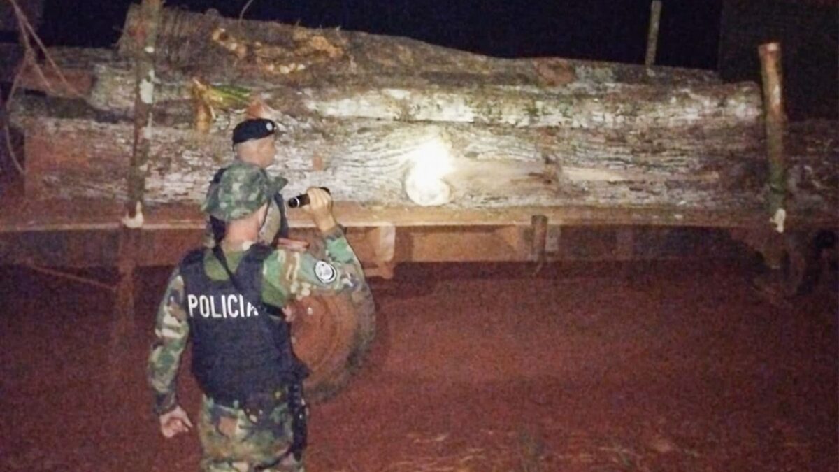 Madera nativa sin respaldo documental en tránsito