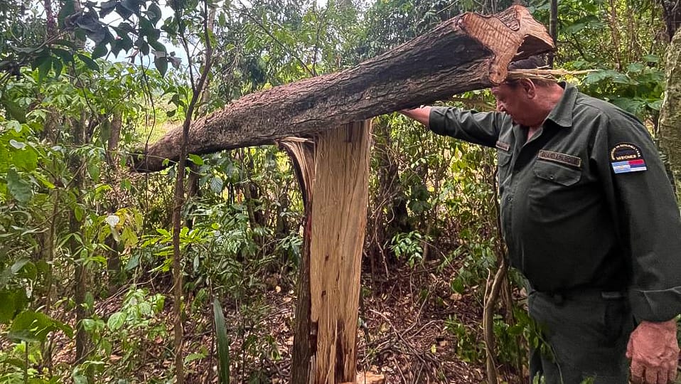 Cuidando nuestro patrimonio natural